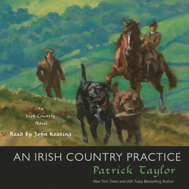 Patrick Taylor - Irish Country Practice, Ljudbok
