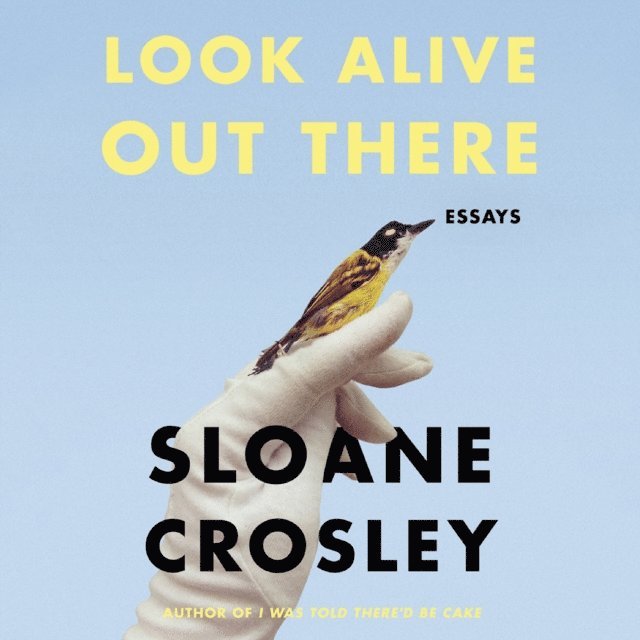 Sloane Crosley - Look Alive Out There, Ljudbok