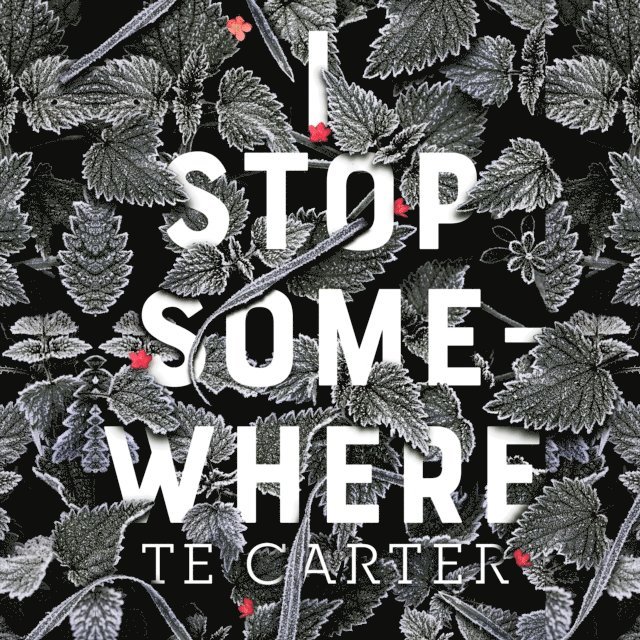 TE Carter - I Stop Somewhere, Ljudbok