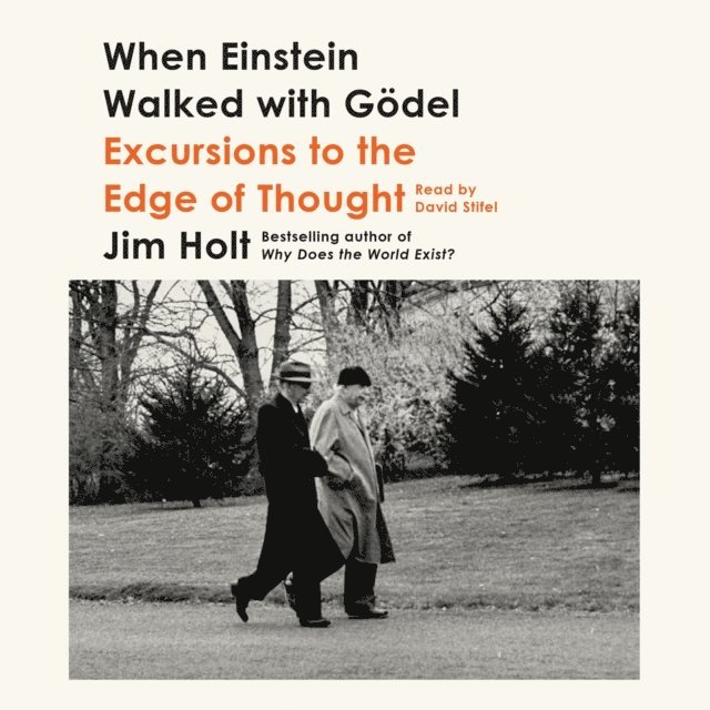 Jim Holt - When Einstein Walked with Godel, Ljudbok. Tillgänglighet: Lägg i varukorg