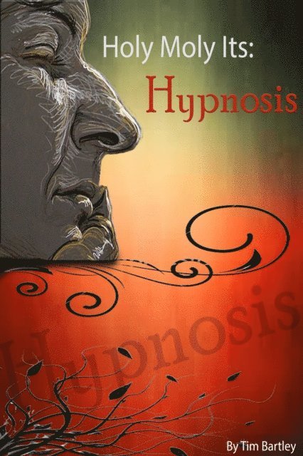 Tim Bartley - Holy Moly It's: Hypnosis, E-bok