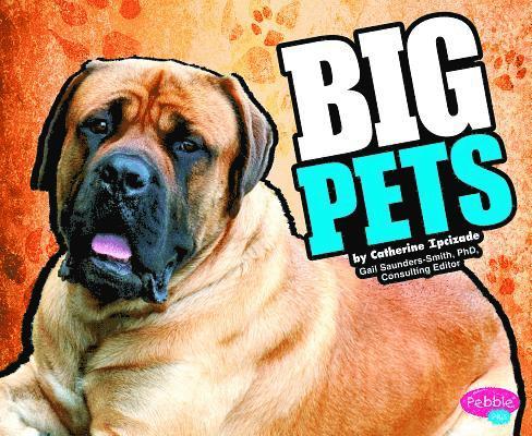 Catherine Ipcizade - Big Pets, Inbunden