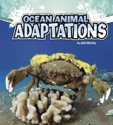 Amazing Animal Adaptations Ocean Animal Adaptations by Julie Murphy