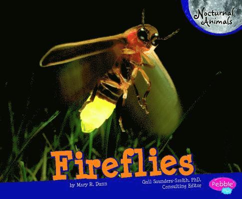 Mary R. Dunn - Fireflies, Häftad