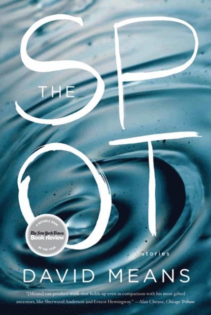 David Means - Spot, E-bok