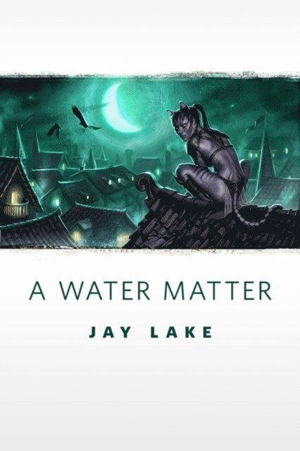 Jay Lake - Water Matter, E-bok