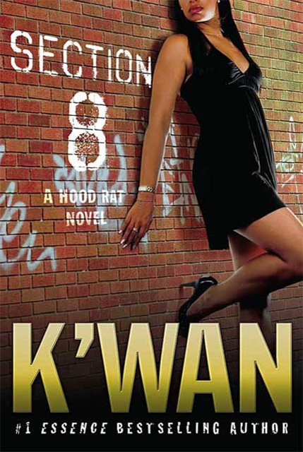 K'wan - Section 8, E-bok