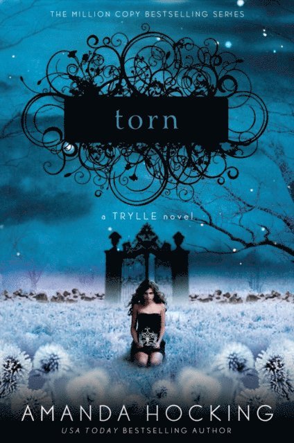 Amanda Hocking - Torn, E-bok