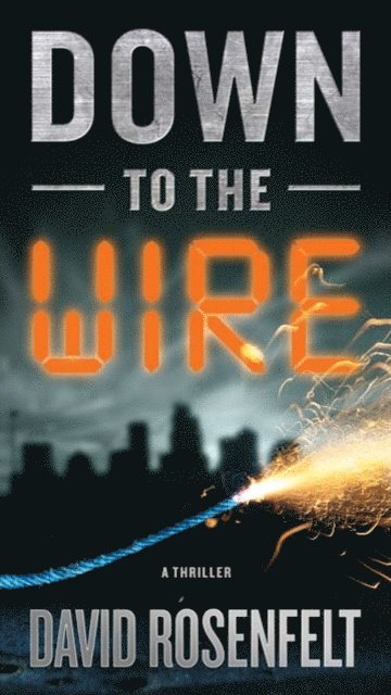 David Rosenfelt - Down to the Wire, E-bok