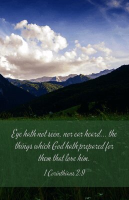 Broadman Church Supplies Staff - Funeral Bulletin: The Things (Package of 100), Övrigt