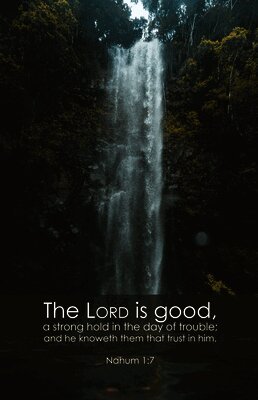 Broadman Church Supplies Staff - General Worship Bulletin: Lord is Good (Package of 100), Övrigt