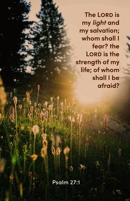 Broadman Church Supplies Staff - Lord is My Light Bulletin (Package of 100), Övrigt