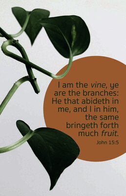Broadman Church Supplies Staff - General Worship Bulletin: Much Fruit (Package Of 100), Övrigt. Tillgänglighet: Lägg i varukorg