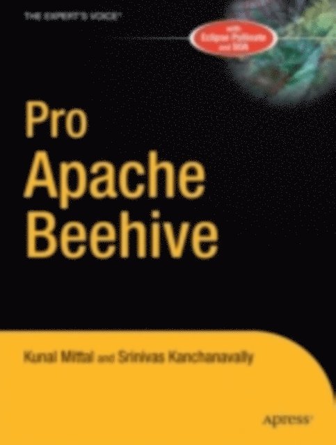 Kunal Mittal, Srinivas Kanchanavally - Pro Apache Beehive, E-bok