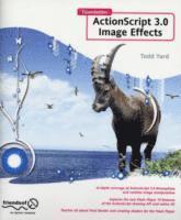 Foundation ActionScript 3.0 Image Effects