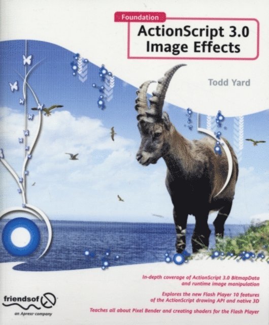 Gerald YardFace - Foundation ActionScript 3.0 Image Effects, E-bok