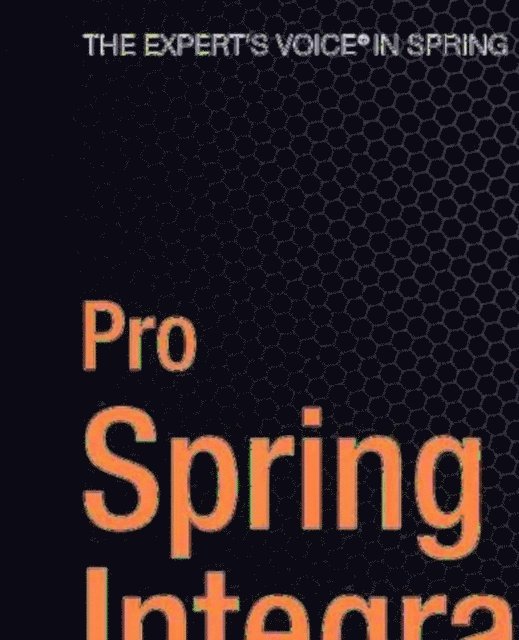 Andy Chan, Mario Gray, Dr Mark Lui, Josh Long - Pro Spring Integration, E-bok