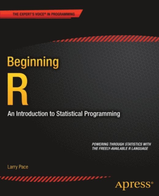 Larry Pace - Beginning R, E-bok