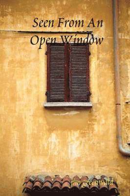 jim greenwald - Seen From An Open Window, Häftad