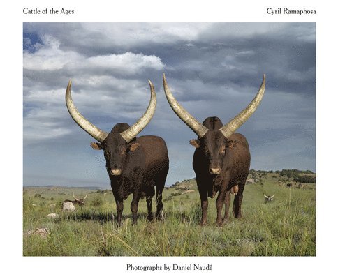 Cattle of the Ages, Inbunden