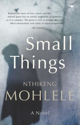Nthikeng Mohlele - Small things, Häftad