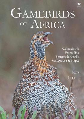 Rob Little - Gamebirds of Africa, Häftad. Tillgänglighet: Tillfälligt slut