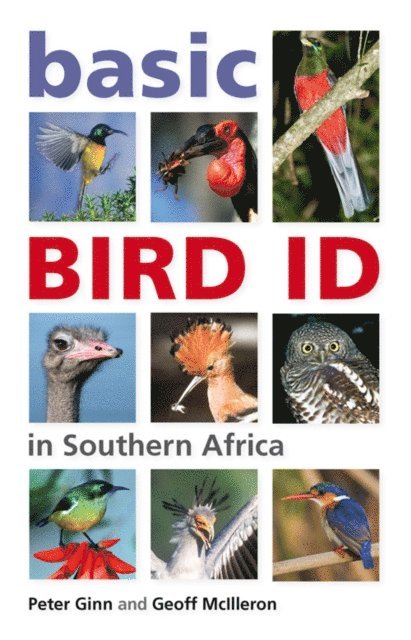 Peter Ginn - Basic Bird ID in Southern Africa, E-bok
