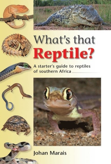 Johan Marais - What's that Reptile?, E-bok