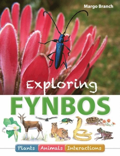 Margo Branch - Exploring Fynbos: Plants, Animals, Interactions., E-bok