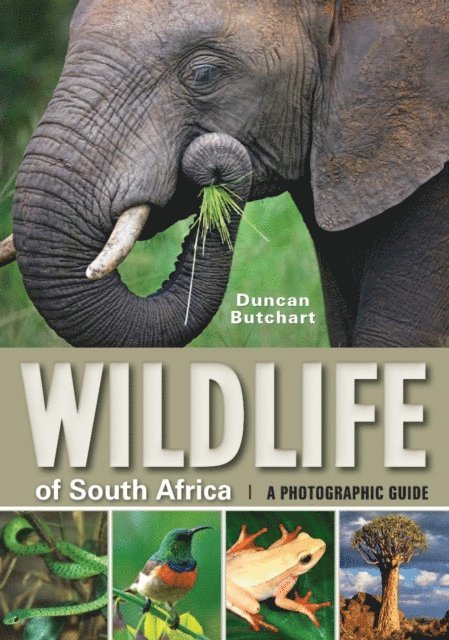 Duncan Butchart - Wildlife of South Africa, E-bok