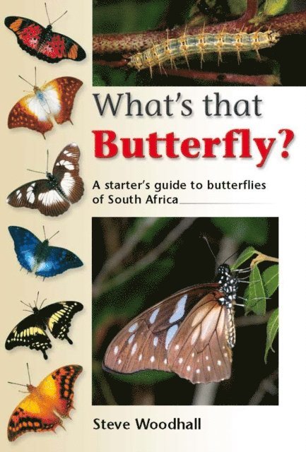 Steve Woodhall - What's that Butterfly?, E-bok