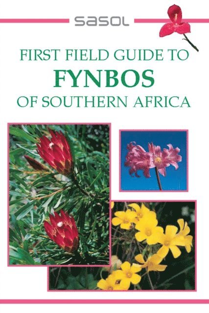 John Manning - First Field Guide to Fynbos of Southern Africa, E-bok