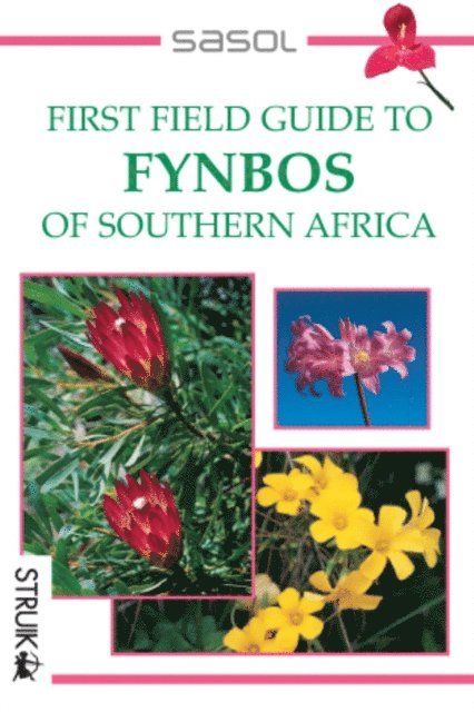 John Manning - First Field Guide to Fynbos of Southern Africa, E-bok