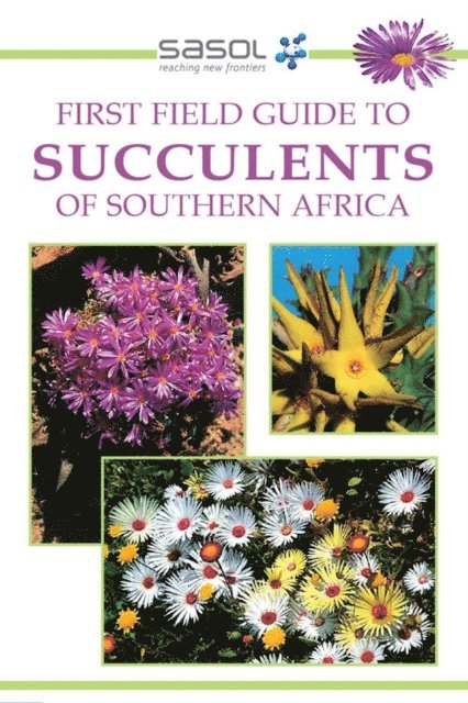 John Manning - Sasol First Field Guide to Succulents of Southern Africa, E-bok