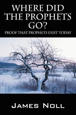 James Noll - Where Did The Prophets Go?, Häftad. Tillgänglighet: Lägg i varukorg
