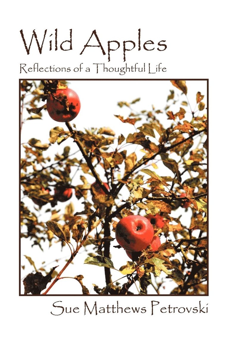 Sue Matthews Petrovski - Wild Apples, Häftad. Tillgänglighet: Lägg i varukorg