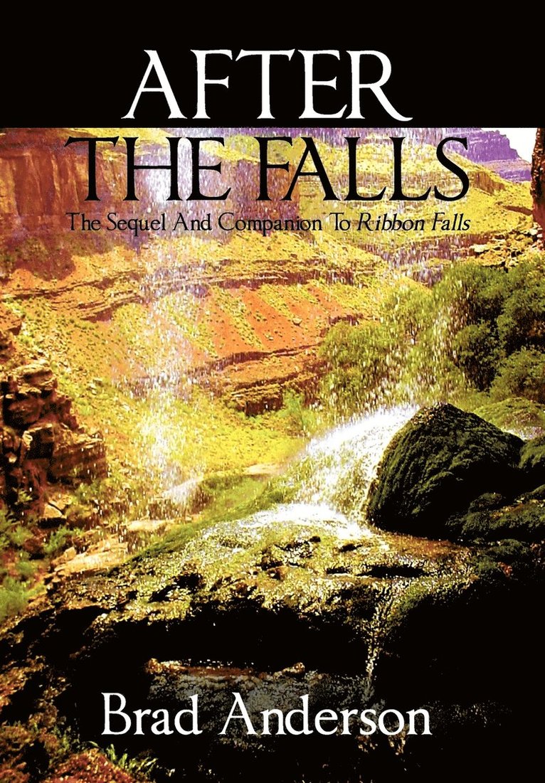 Brad Anderson - After the Falls, Inbunden