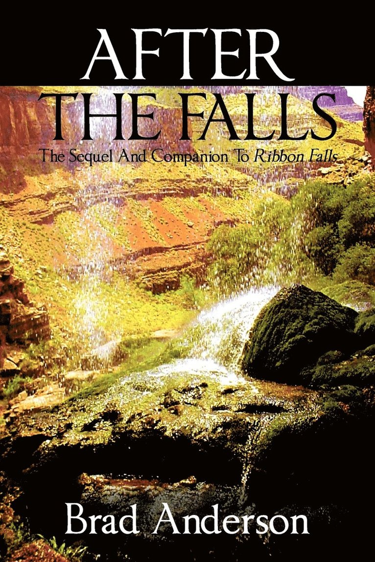 Brad Anderson - After the Falls, Häftad
