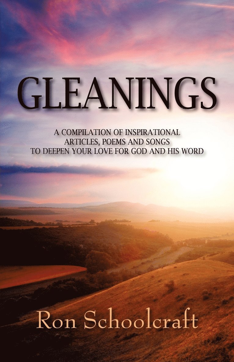 Ron Schoolcraft - Gleanings, Häftad