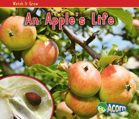 Nancy Dickmann - An Apple's Life, Häftad. Tillgänglighet: Lägg i varukorg