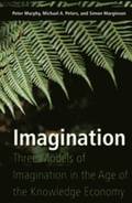 Imagination
