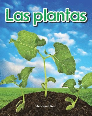 Stephanie Reid - Las plantas, Häftad. Tillgänglighet: Lägg i varukorg