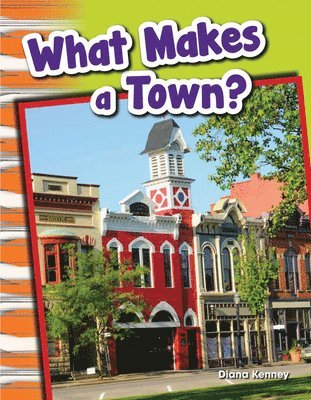 Diana Kenney - What Makes a Town?, Häftad