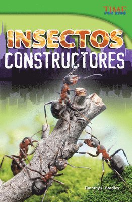 Timothy J. Bradley, Timothy Bradley - Insectos Constructores, Häftad