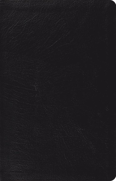 ESV Large Print Thinline Reference Bible