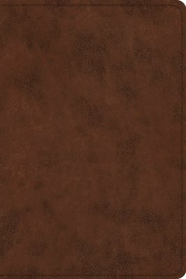 ESV Study Bible, Personal Size
