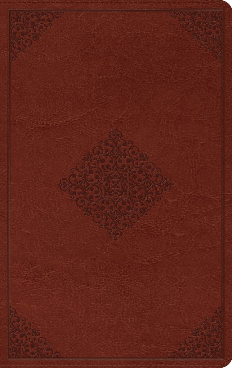 Esv Bibles - ESV Large Print Value Thinline Bible, Inbunden
