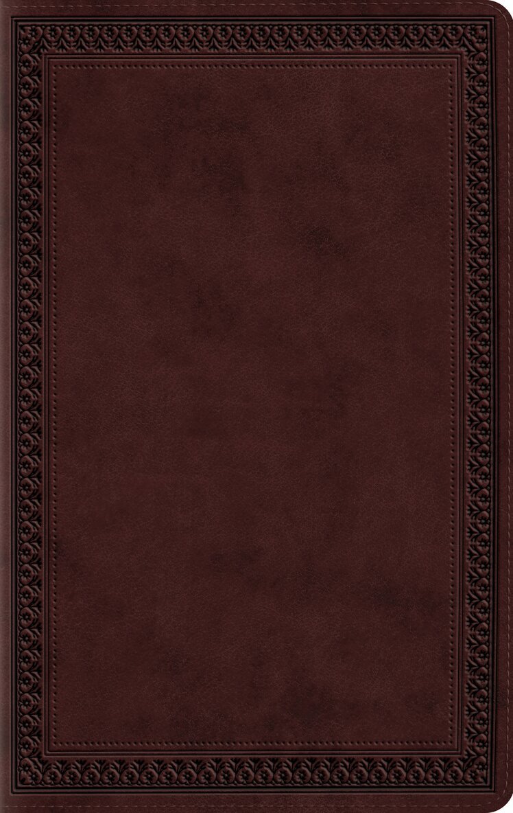 Esv Bibles - ESV Large Print Value Thinline Bible, Inbunden
