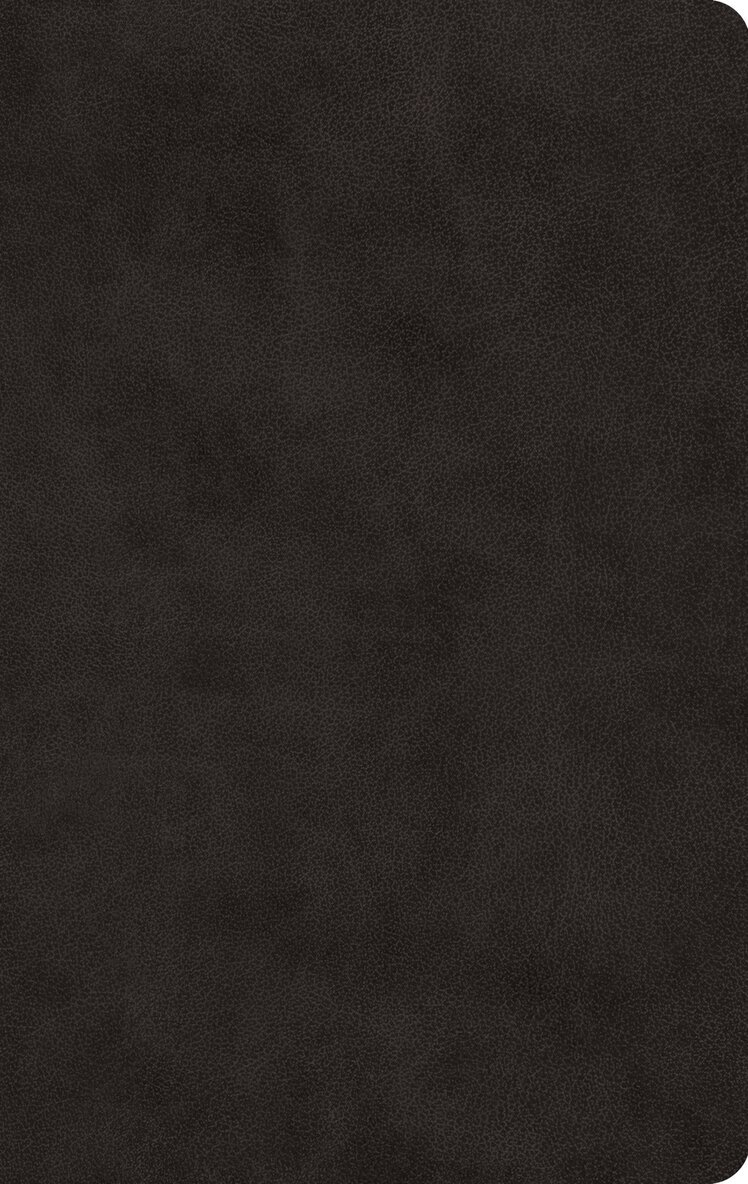 Esv Bibles - ESV Large Print Value Thinline Bible, Inbunden