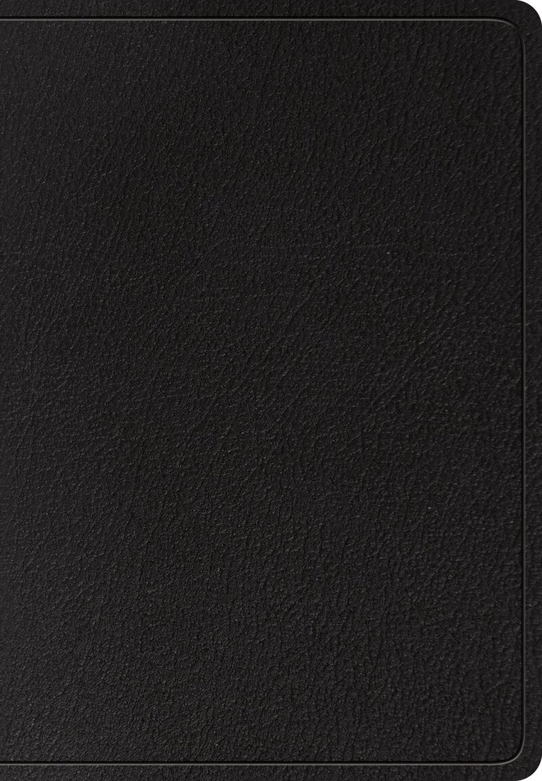 Esv Bibles - ESV Super Giant Print Bible, Inbunden